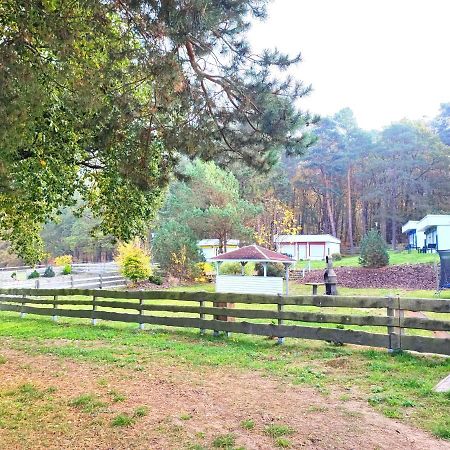 Willa Tiny House Ueckeritz Zewnętrze zdjęcie